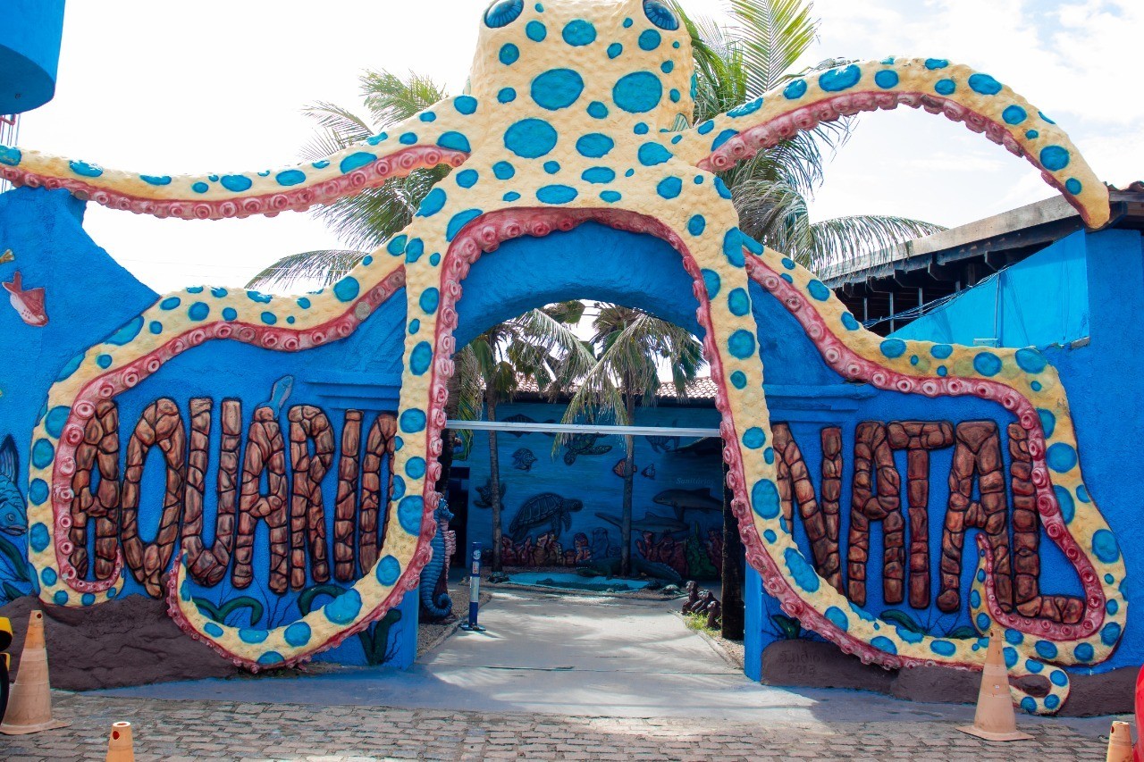 PRAIA DE GENIPABU
